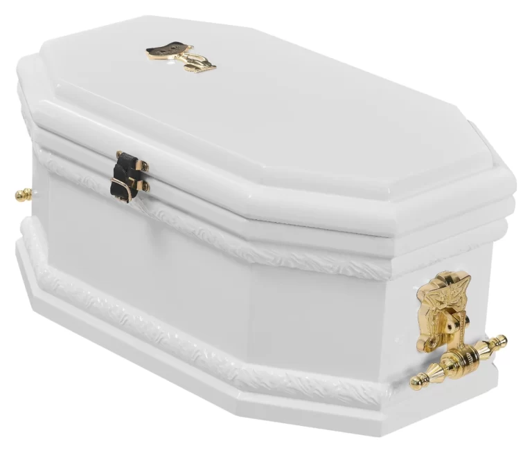 RIgon - Fundo Fechado - Pet 2