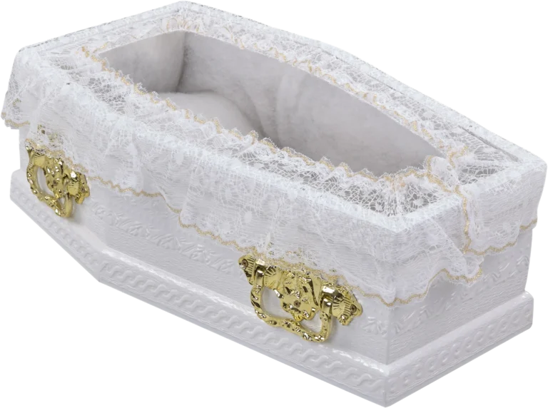 Rigon Urnas3002 (SFI) P Rei